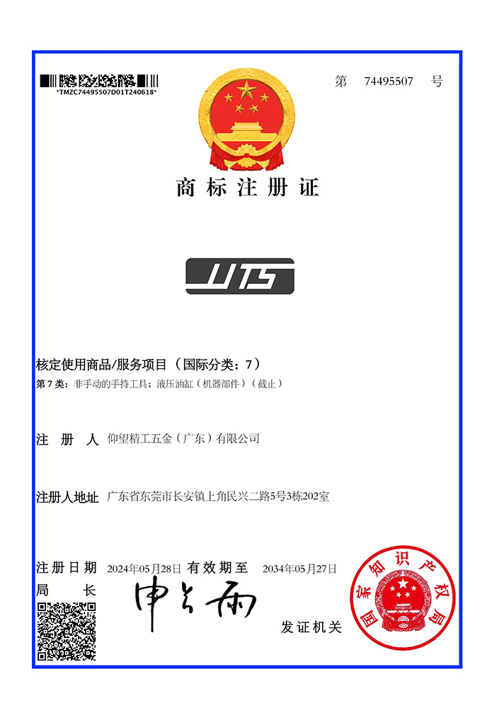 7类LUTS（74495507） 商标注册证